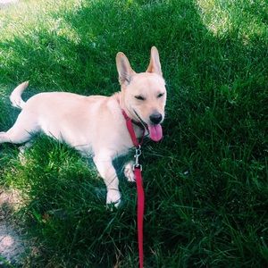 Meet your Posher, Amelia